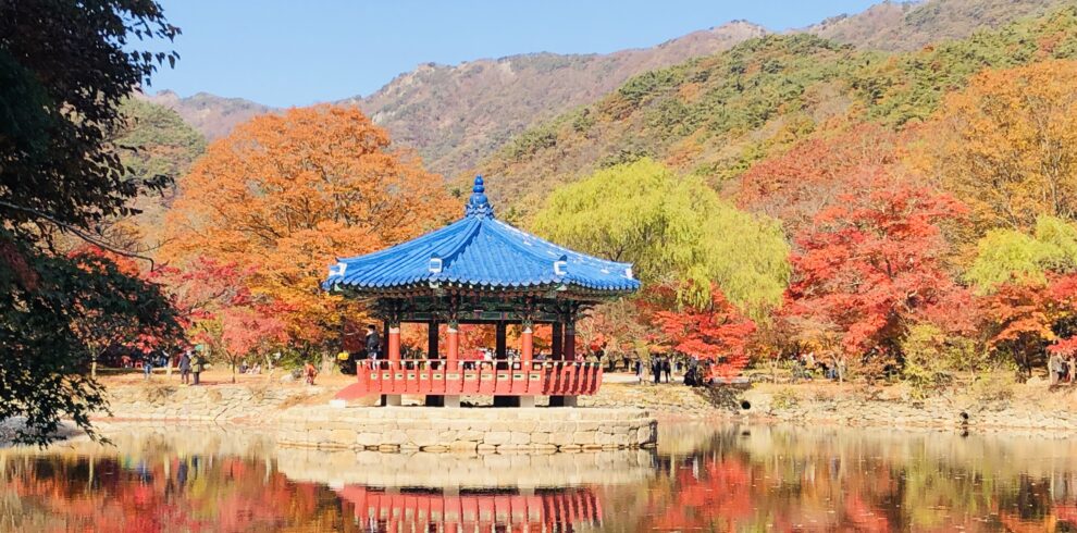 KakaoTalk_20220713_163524697_15